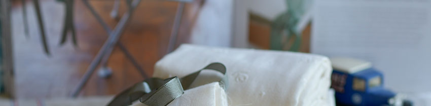 オーガニックダブルガーゼレース生地